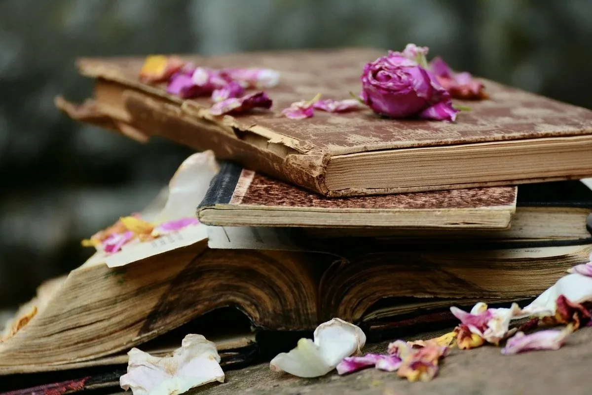 İkinci El Kitap Alanlar Ankara