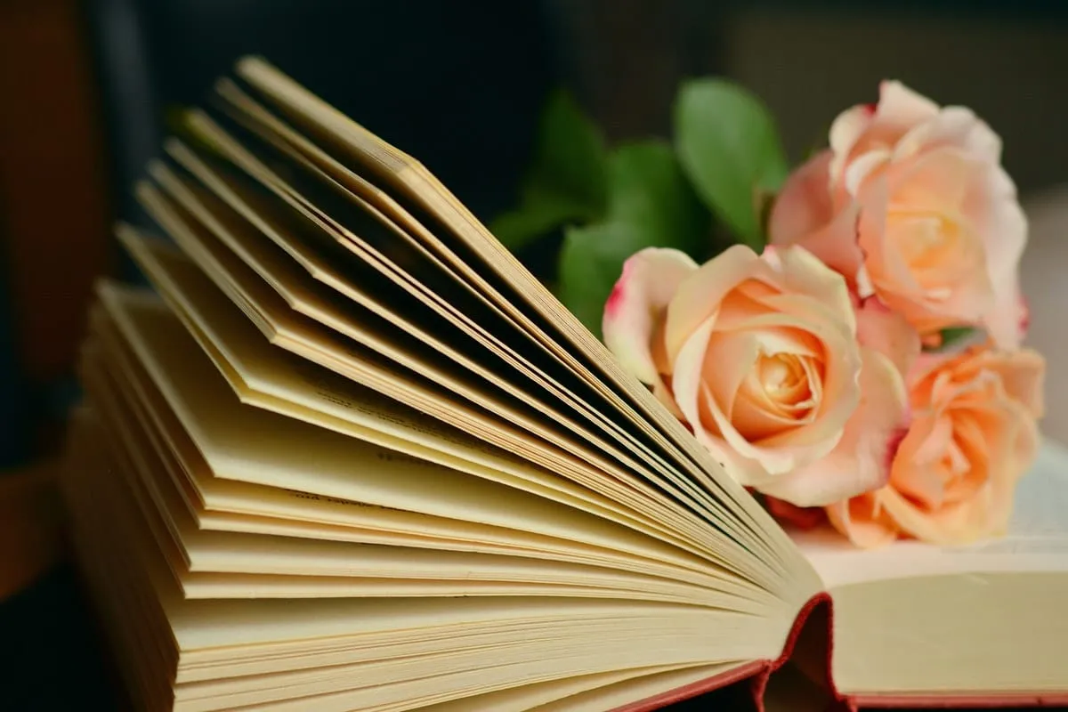 2. El Kitap Alınır